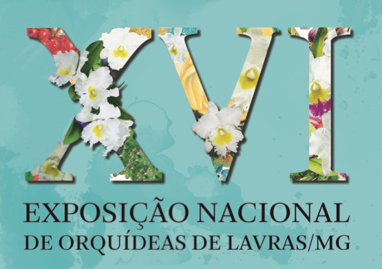 exposição
